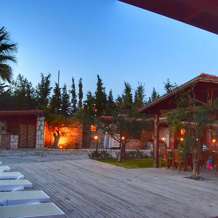 Hotel Wood Town 3*